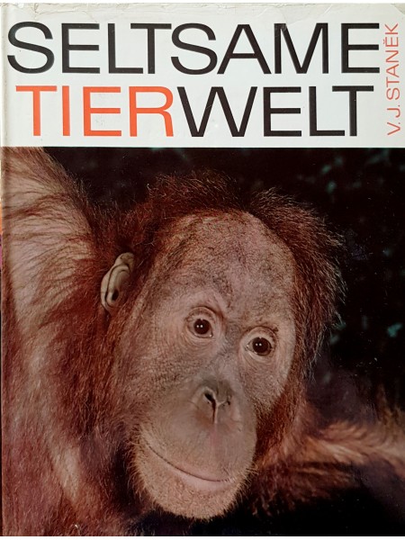 Dīvainā dzīvnieku pasaule