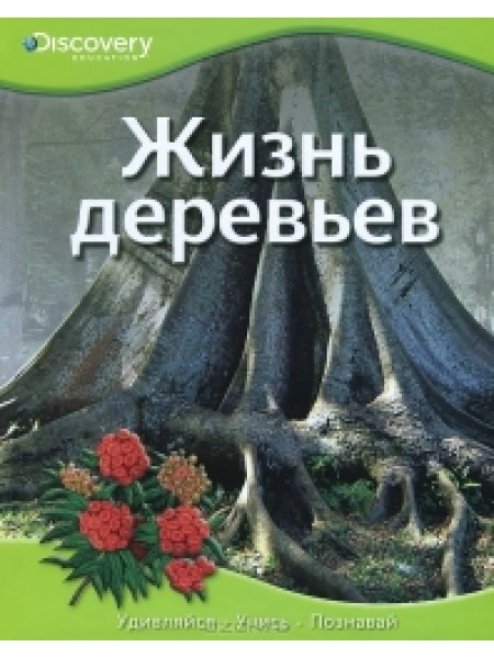 Жизнь деревьев