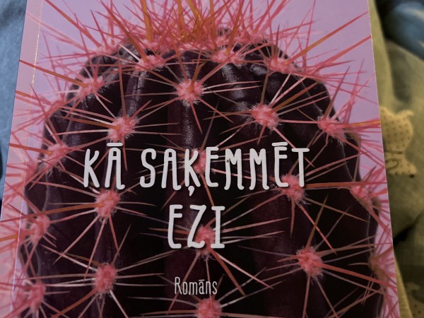 Kā saķemmēt ezi