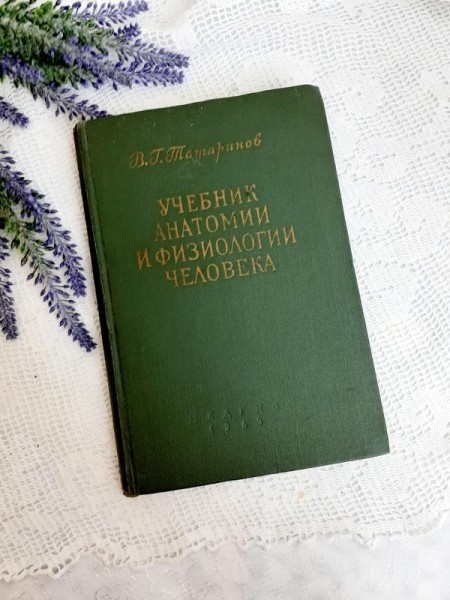 Учебник анатомии и физиологии человека