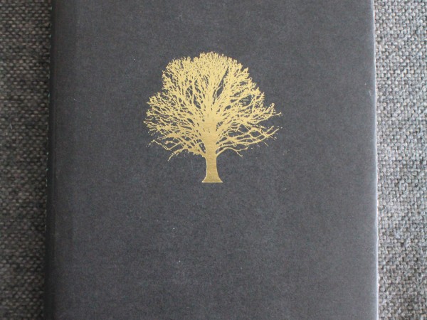 Magdalena the sinner