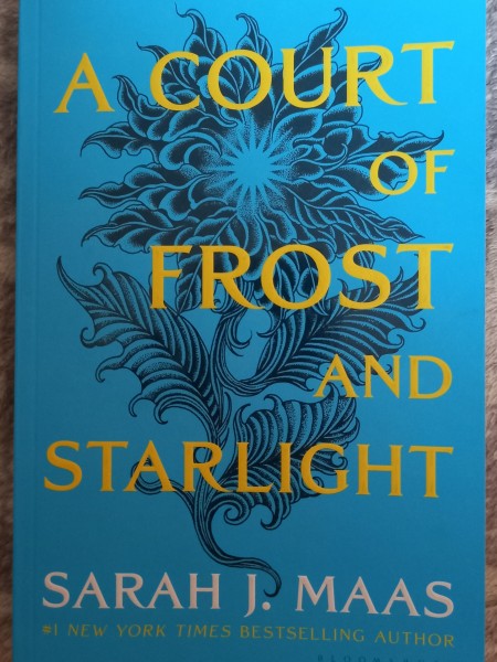 A court of frost and starlight