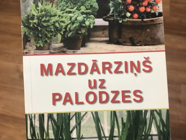 Mazdārzinš uz palodzes