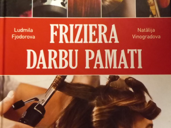 Friziera darbu pamati
