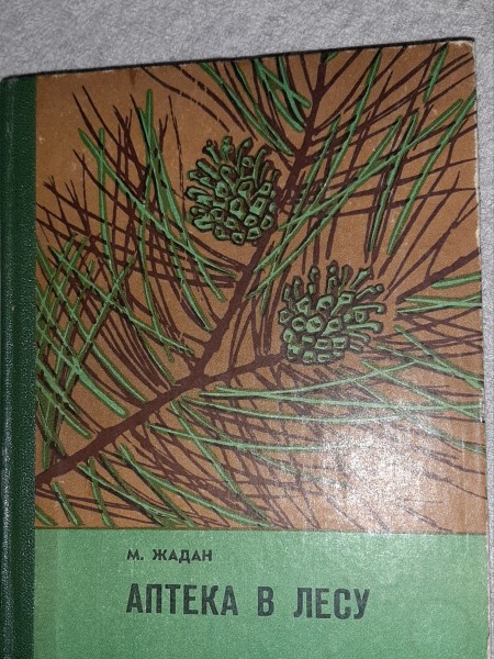 Аптека в лесу