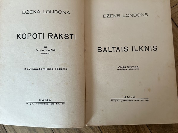 Baltais ilknis