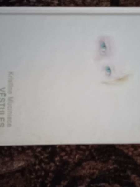 Enģeļu acis. Vēstules.