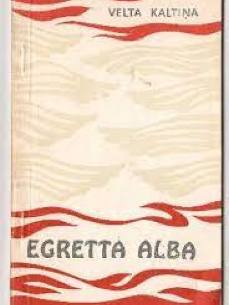 Egretta Alba