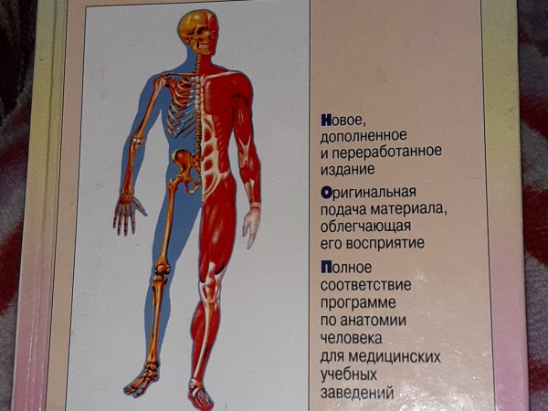 Атлас анатомии человека