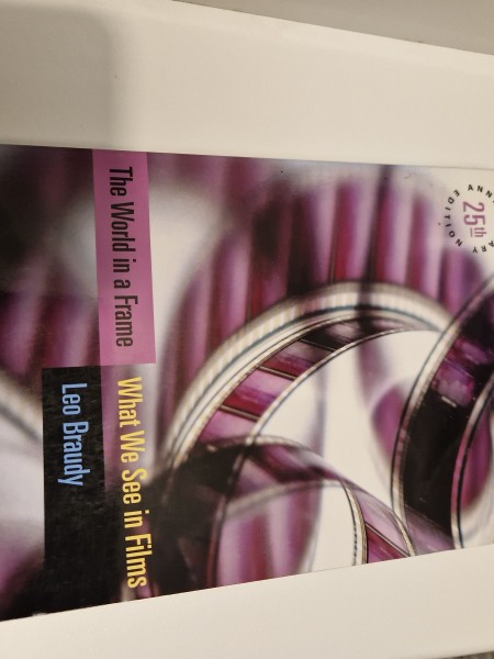 The World in a Frame - What We See in Films