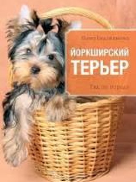 Йоркширский Терьер Гид по породе