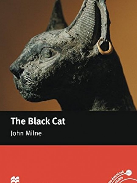 the black cat