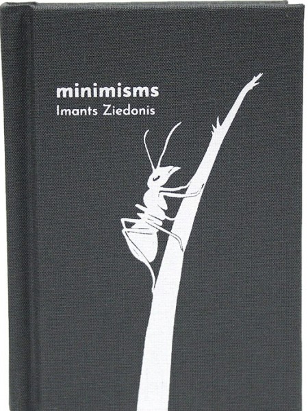 Minimisms
