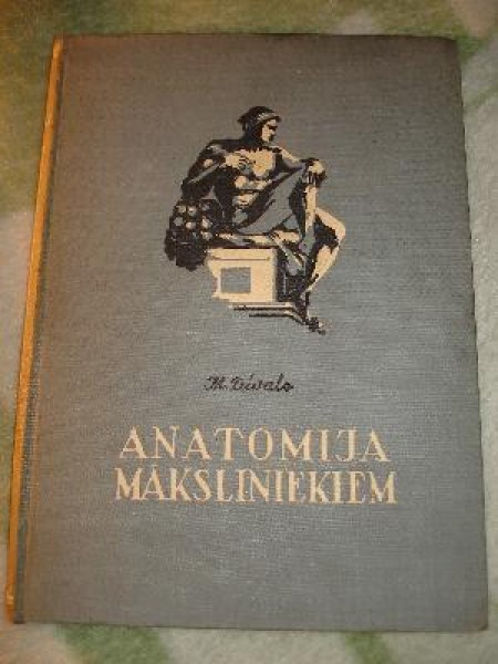 Anatomija māksliniekiem