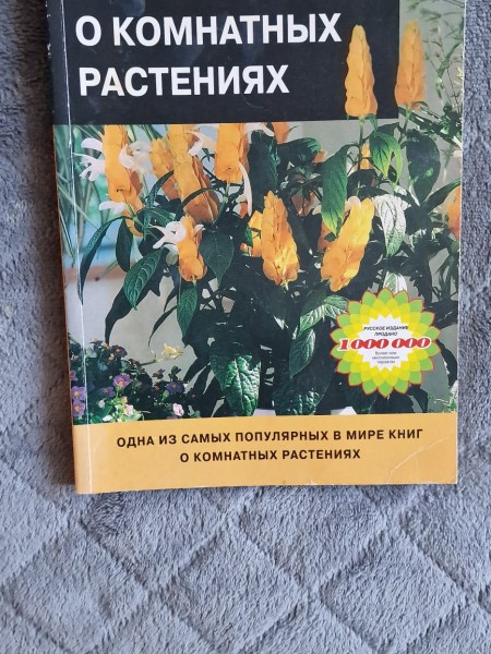 Все о комнатных растениях