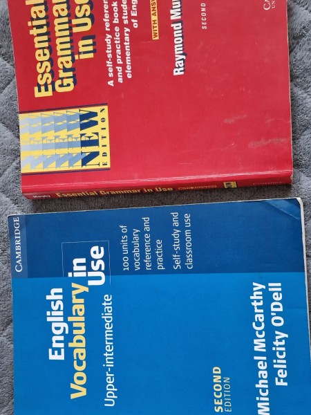 english vocabulary in use