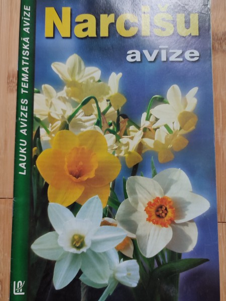 Narcišu avīze