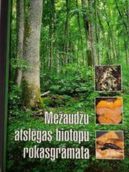 Mežaudžu atslēgas biotopu rokasgrāmata