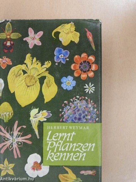 Lernt Pflanzen kennen (Iepazīstiet augus)