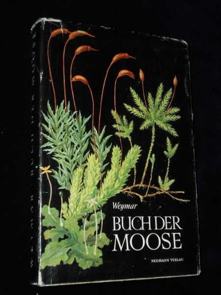 Buch der Moose/Sūnu grāmata