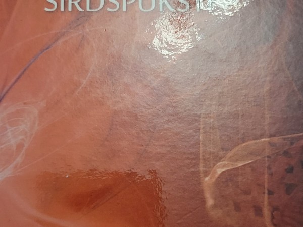 Dvēseles sirdspuksti