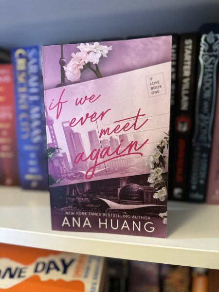 If we ever meet again