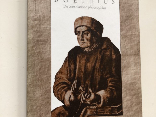 Par mierinājumu filosofijā