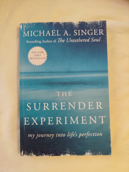 The Surrender Experiment: My Journey into Life's Perfection