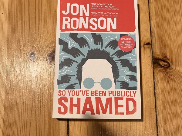 So You've Been Publicly Shamed