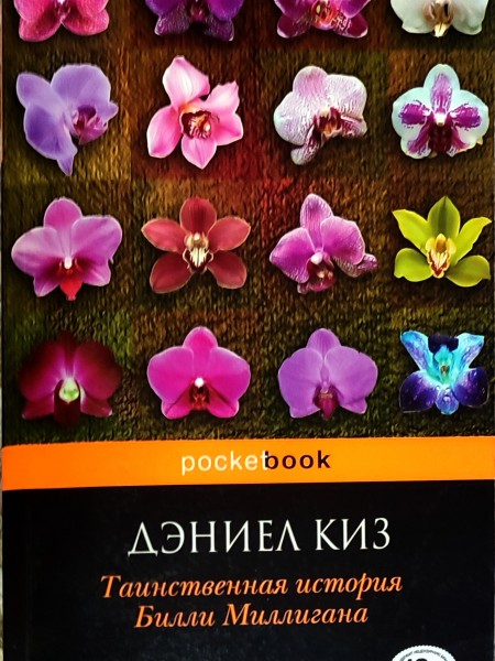 Таинственная история Билли Миллигана