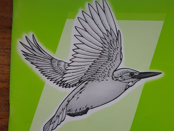 Discoveries Activity Book 2