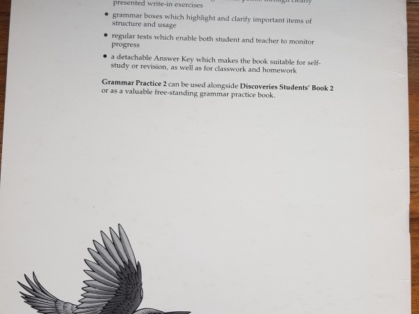 Discoveries Grammar Practice 2