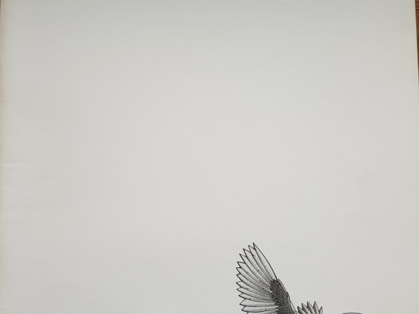 Discoveries Grammar Practice 1