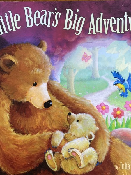 Little Bears Big Adventure