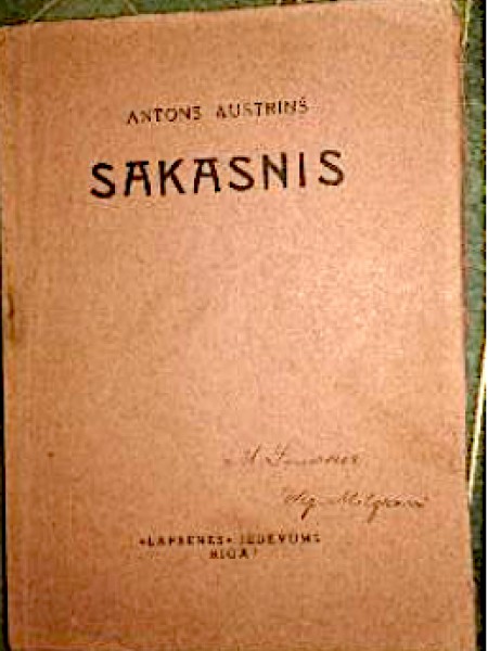 Sakasnis