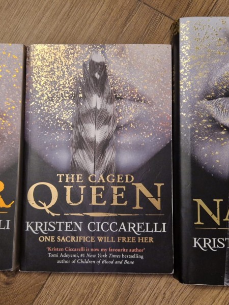 The Last Namsara triloģija