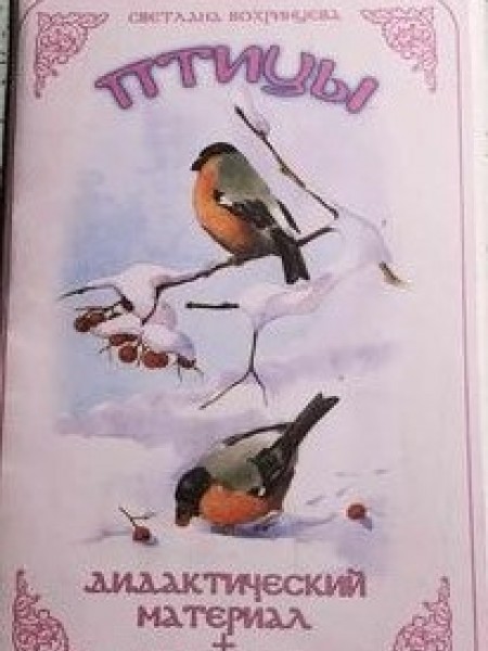 птицы ( Дидактический материал   игра лото)