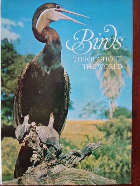 Birds throughout the world