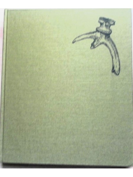 Begegnung mit dem Urmenschen - Die Funde von Bilzingsleben