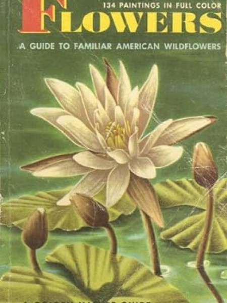 Flowers: A Guide to Familiar American Wildflowers