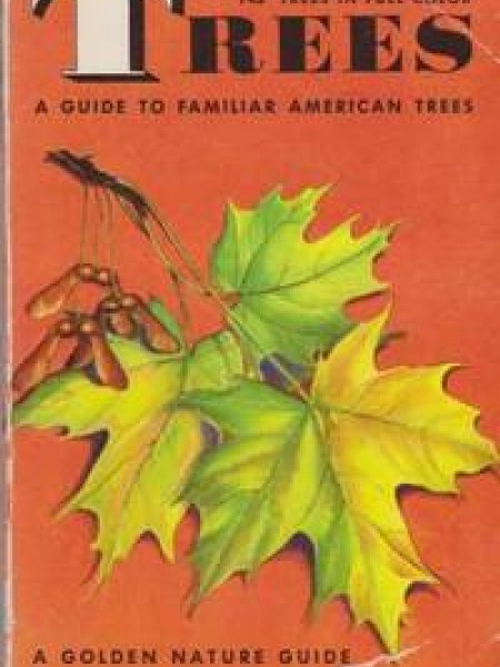 Trees: A Guide to Familiar American Trees