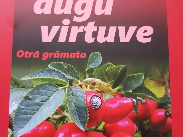 Savvaļas augu virtuve