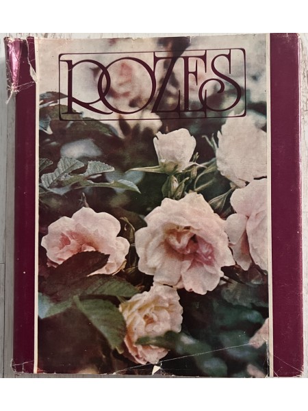 Rozes