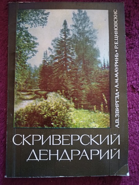 ДЕНДРАРИЙ СКРИВЕРСКИЙ