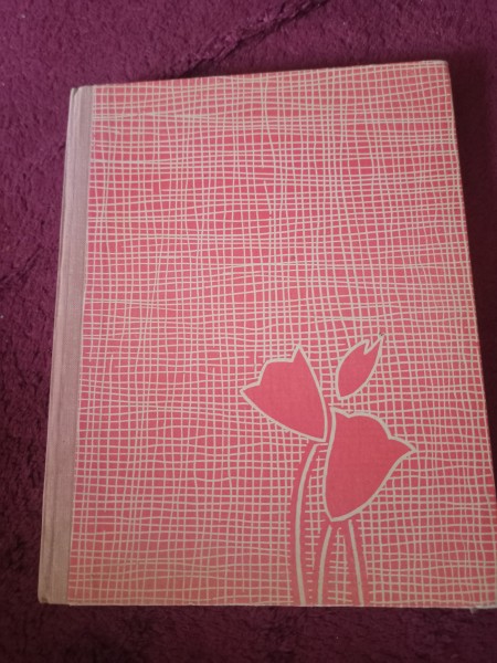 Grāmata sievietēm uz mūža otrās puses sliekšņa 1966