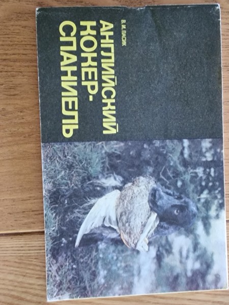 Angļu kokerspaniels