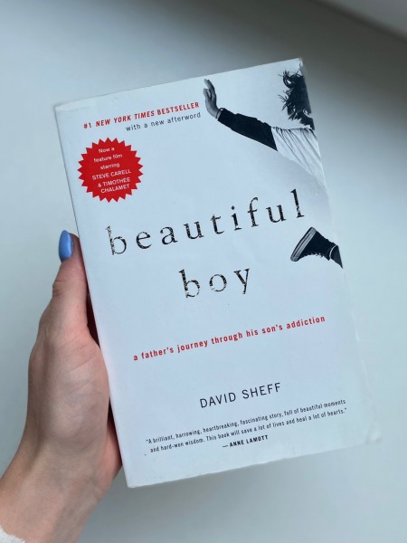 Beautiful Boy: A Father's Journey Through His Son's Addiction
