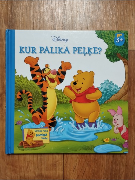 Kur palika peļķe?