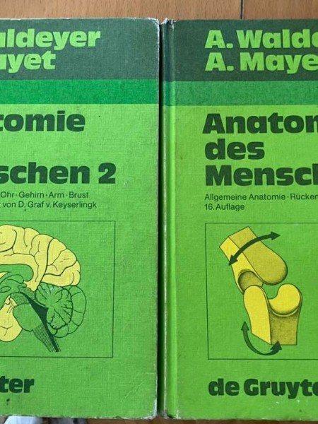 Anatomie des Menschen 1 und 2