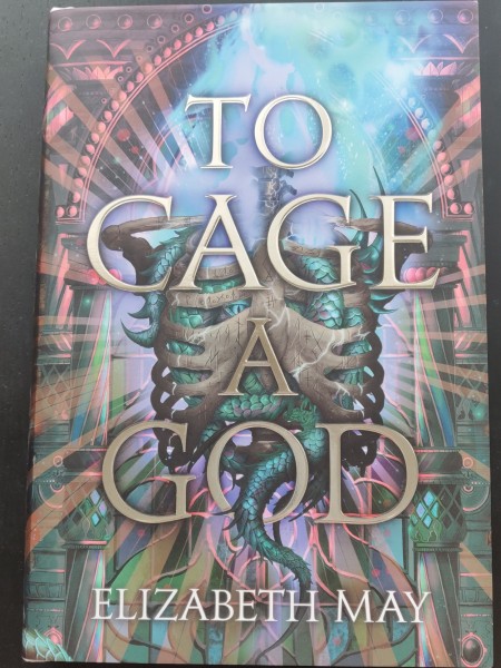 To Cage a God (Illumicrate SE)